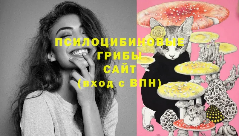 Псилоцибиновые грибы Psilocybine cubensis  цена наркотик  mega tor  Мензелинск 